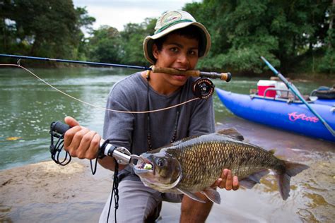 costa rica fly fishing guide